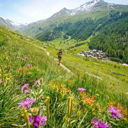 شقة Loft High Rimaye - Mont Blanc Views, Close To Brevent *